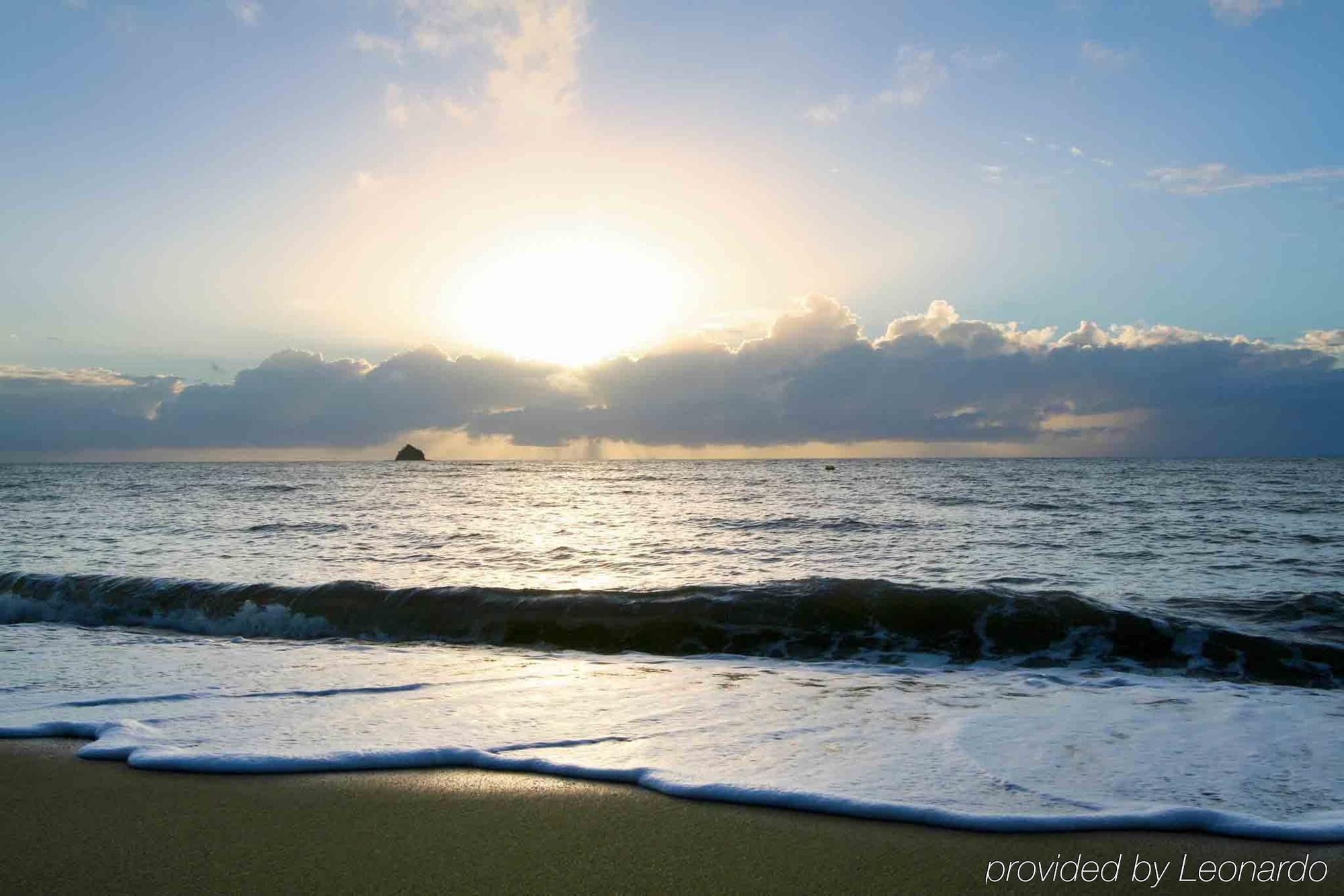Pullman Palm Cove Sea Temple Resort & Spa מראה חיצוני תמונה